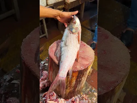 Insane Rohu Fish Cutting 😱🔪 | Clean & Perfect Slices #shorts