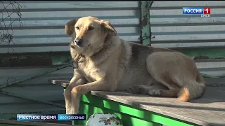 «События недели», эфир от 15 октября 2023 года