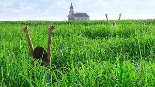 grass traps people in a time loop once they enter there is no way out