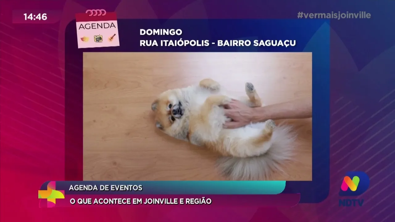 Agenda de Eventos: o que acontece em Joinville e região