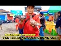 Download Lagu BERBURU MERPATI GIRINGAN CAKEP CAKEP TES TERBANG COCOK BUNGKUS PART 2