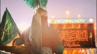 هذا عباس الرادود محمد مرتضى 