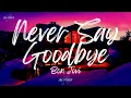 Download Lagu Bon Jovi - Never Say Goodbye (Lyrics)