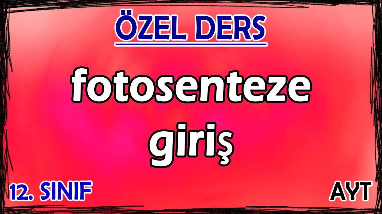 8) Fotosenteze Giriş - Özel Ders (12. Sınıf)