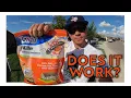Testing Terro Ant Killer Getting Rid of Ants in the Lawn