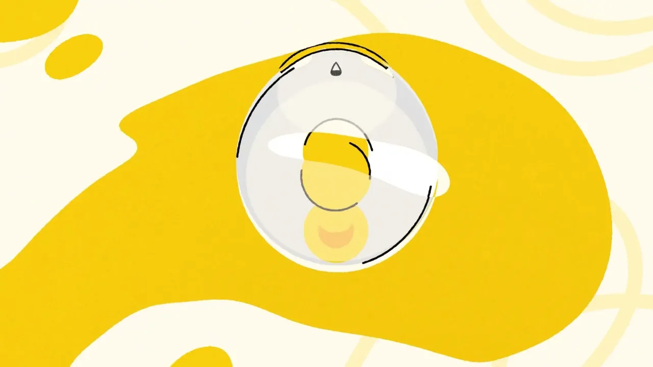 Medela Magic InBra Double Wearable Breast Pump