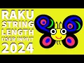 Raku Programming User Input To Get String Length 2024