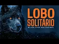 Download Lagu O Caminho do Lobo - Disciplina, Dor e Silêncio