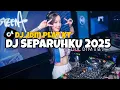 Download Lagu DJ PLAT KT  SEPARUHKU 2025 [ IJUL DTM x B ] VIRAL DI TIKTOK