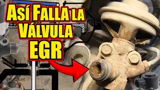5 Sintomas De VÁLVULA EGR Dañada o SUCIA ⚠️ ASI FALLA EL CARRO CON LA EGR DAÑADA⚠️ (Vibra tiembla)