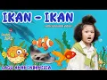 Download Lagu Lagu Anak Ikan - Ikan ( Official Musik Video ) Lagu Anak Indonesia Terbaru Ikan - Ikan