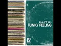 Funky Feeling (Extended Mix)