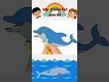 let s draw and color a friendly dolphin