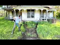 Download Lagu I TOOK ON this job as the local lawn guys WOULDN’T TOUCH IT