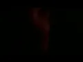 PICA PICA, YO TENGO UNA CASITA 22042018