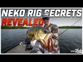 Easton Fothergill s Winning Neko Rig Secrets