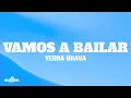 Lagu VAMOS A BAILAR - YERBA BRAVA (Lyrics)
