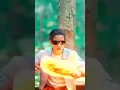 Download Lagu monkey King #shortvideo trending reels #desi #editing