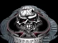 Download Lagu Kneipenterroristen - Heute Nacht wird durchgemacht