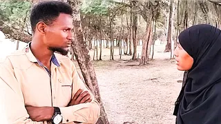 Ummi Hamzaan Piraankii Irratti Hojjannan Abu Hamzaan Tumee Miidhe 