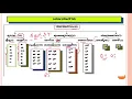 ಸಂಪೂರ್ಣ ಕನ್ನಡ ವ್ಯಾಕರಣ | Revision For PDO/GPSTR/Group C/FDA/SDA EXAM | complete Kannada Grammar |