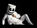 Marshmello s Real Name Was Listed On His Song Freal Luv