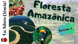 Biomas e Ecossistemas Brasileiros - FLORESTA AMAZÔNICA (Episódio 1)