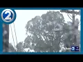 Downed trees power lines reported on Maui as Lala impacts continue