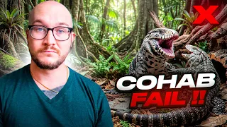 COHABBING REPTILES 5 You Can and 5 You CAN T