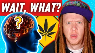 Download 🤔The Truth About How Weed REALLY Affects Your Memory MP3