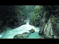 Relaxing music, calming music ♠ SNOOZE