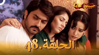 حبيبي دائما الحلقة 48 