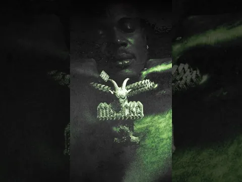 Spend out now! 🐊💸