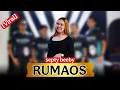 Lagu VIRAL TIKTOK | RUMAOS versi BANGRENG TANJI AKTOR MUDA MUSIK voc: Septy beeby
