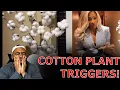 Download Lagu Serena Williams TRIGGERED After Finding Cotton Plant In New York City Hotel