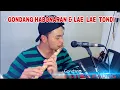 Download Lagu GONDANG HABONARAN \u0026 LAE LAE TONDI - INSTRUMEN UNING UNINGAN FRIADI SIJABAT SULIM