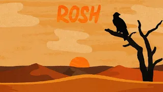 KSHMR Ampermut Gobi Desert Collective TEJA - Rosh feat Mir Iqbal