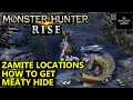 Zamite Monster Hunter Rise Locations - How to get Meaty Hide