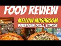Trying Mellow Mushroom Pizza Wings in Downtown Ocala Florida Full Food Review