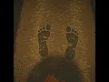 FILE_0004.3gp — something is standing at the bottom of the stairs