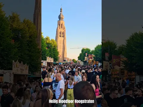 Video Kermiseditie 2025