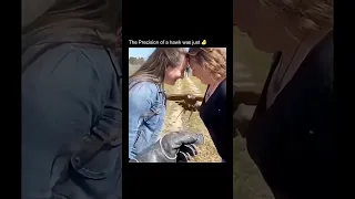 Such Precision Alternative Shorts Metalcore Numetal Rockmusic Music 