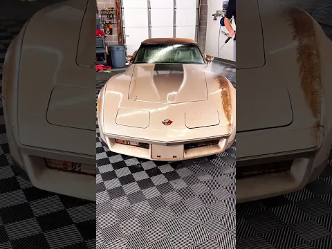 Grandpa’s Car Was Hidden for 20 Years!