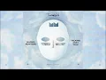 Machel Montano X Travis World talkin that talk after life riddim 2020 soca Ip1ufV0DCu0 72