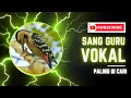 Download Lagu Pelatuk Sampit | Si Paruh Kuat dan Guru Vokal Terbaik