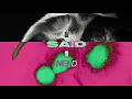 M-22 - Need You There (Lyric Video)