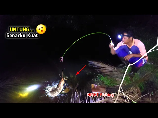 Download MP3 KALI INI MANCING MALAM DISARANGNYA IKAN LELE LEMBAT BABON || MANCING LEMBAT MALAM