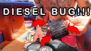 BUGS in the FUEL of the BOAT!!!!!