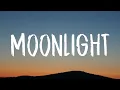 dhruv - moonlight (Lyrics)