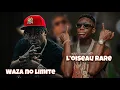 Download Lagu Waza No Limite feat L’Oiseau Rare \u0026 Dementos – Tournage du Clip 🎬 